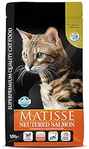 MATISSE NEUTERED SALMON