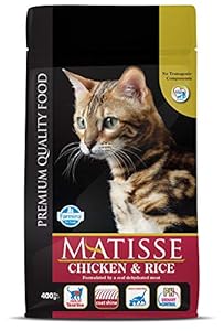 MATISSE CHICKEN & RICE