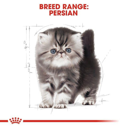 Royal Canin Persian Kitten Food, 2 Kg, Dry Food, Reduction in Hairball Formation