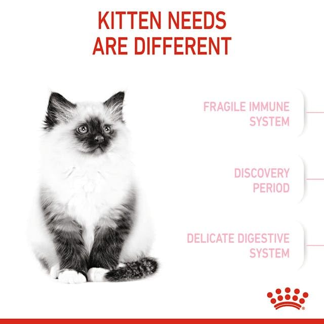 Royal Canin Second Age Kitten Food, 400 Grams