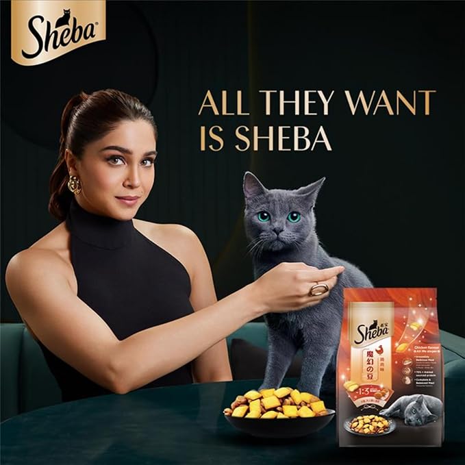 Sheba Kitten and Adult, Irresistible Dry Cat Food, Chicken Flavour, 1.5 kg, Contains 41 Essential Nutrients, Complete & Balanced Nutrition