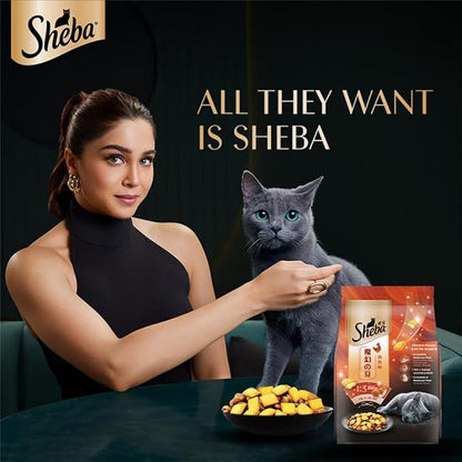Sheba Kitten and Adult, Irresistible Dry Cat Food, Chicken Flavour, 1.5 kg, Contains 41 Essential Nutrients, Complete & Balanced Nutrition