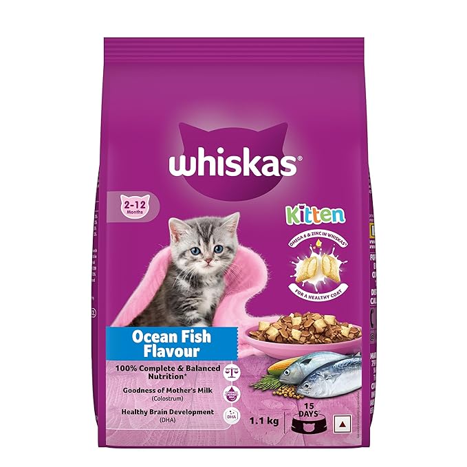 Whiskas Junior Mother Cat & Kitten (2-12 Months) Dry Cat Food, Ocean Fish Flavour, 1.1 kg