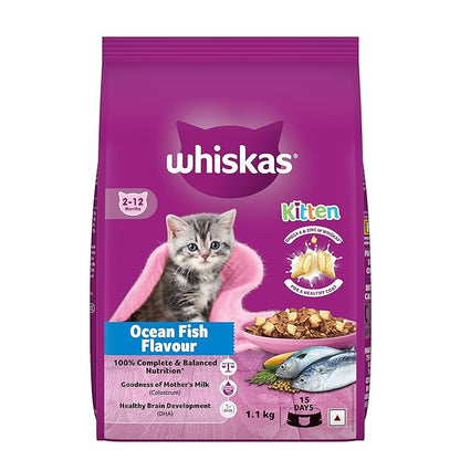 Whiskas Junior Mother Cat & Kitten (2-12 Months) Dry Cat Food, Ocean Fish Flavour, 1.1 kg