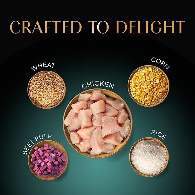 Sheba Kitten and Adult, Irresistible Dry Cat Food, Chicken Flavour, 1.5 kg, Contains 41 Essential Nutrients, Complete & Balanced Nutrition