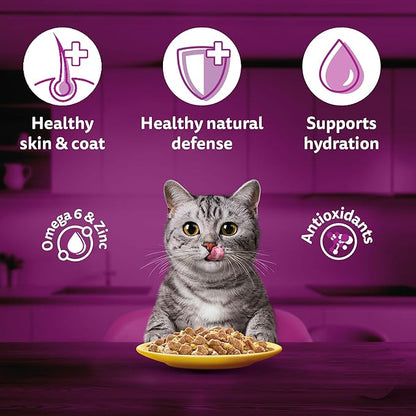 Whiskas Adult (1+ Years) Wet Cat Food, Chicken in Gravy, 80 g (Pack of 14), Hydrating Food Made With Real Chicken, 100% Complete & Balanced Nutrition for Adult Cats