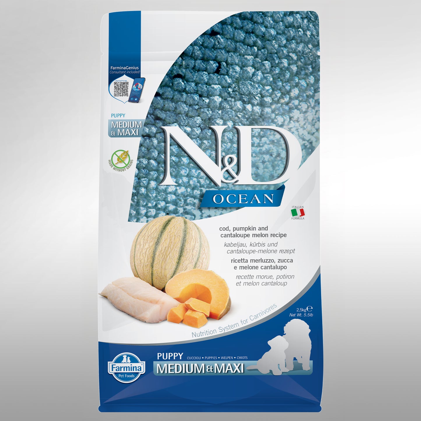 N&D OCEAN DOG PKN CODFISH & CANT PUPPY MED/MAXI