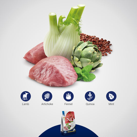 N&D QUINOA DOG DIGESTION LAMB ADULT