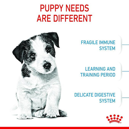 Royal Canin Mini Puppy Mini, 800 Grams, Dry Food